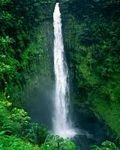 pic for Akaka Falls, Big Island, Hawaii
